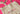 ChickBag.com domain name is for sale! | NextBrand - 21