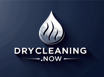 DryCleaning.Now domain name is for sale! | NextBrand - 1