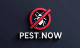 Pest.now domain name is for sale! | NextBrand - 1