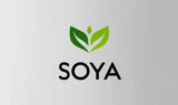 SOYA.now domain name is for sale! | NextBrand - 1