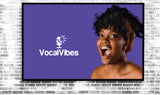 VocalVibes.com domain name is for sale! | NextBrand - 4